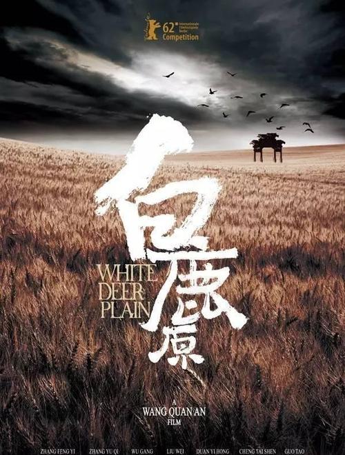 科威特驾驶证作假